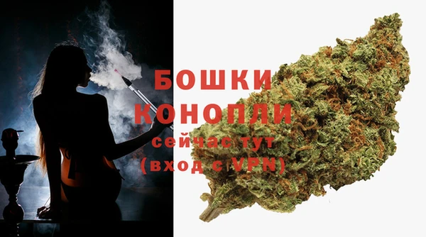 не бодяженный Арсеньев